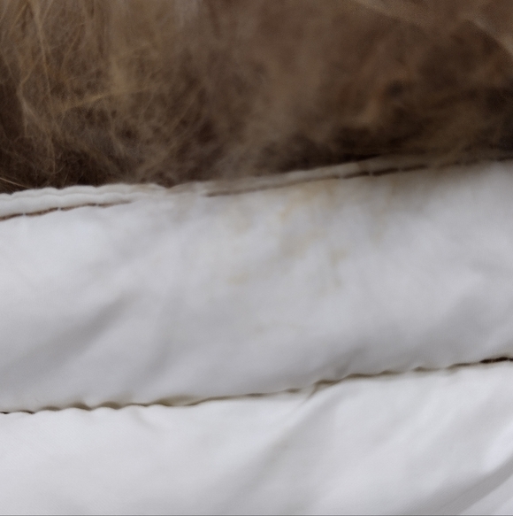 Kangbo Down Filled Puffer Coat Women's S White Cozy Warm Minimalist Winter - Picture 12 of 13